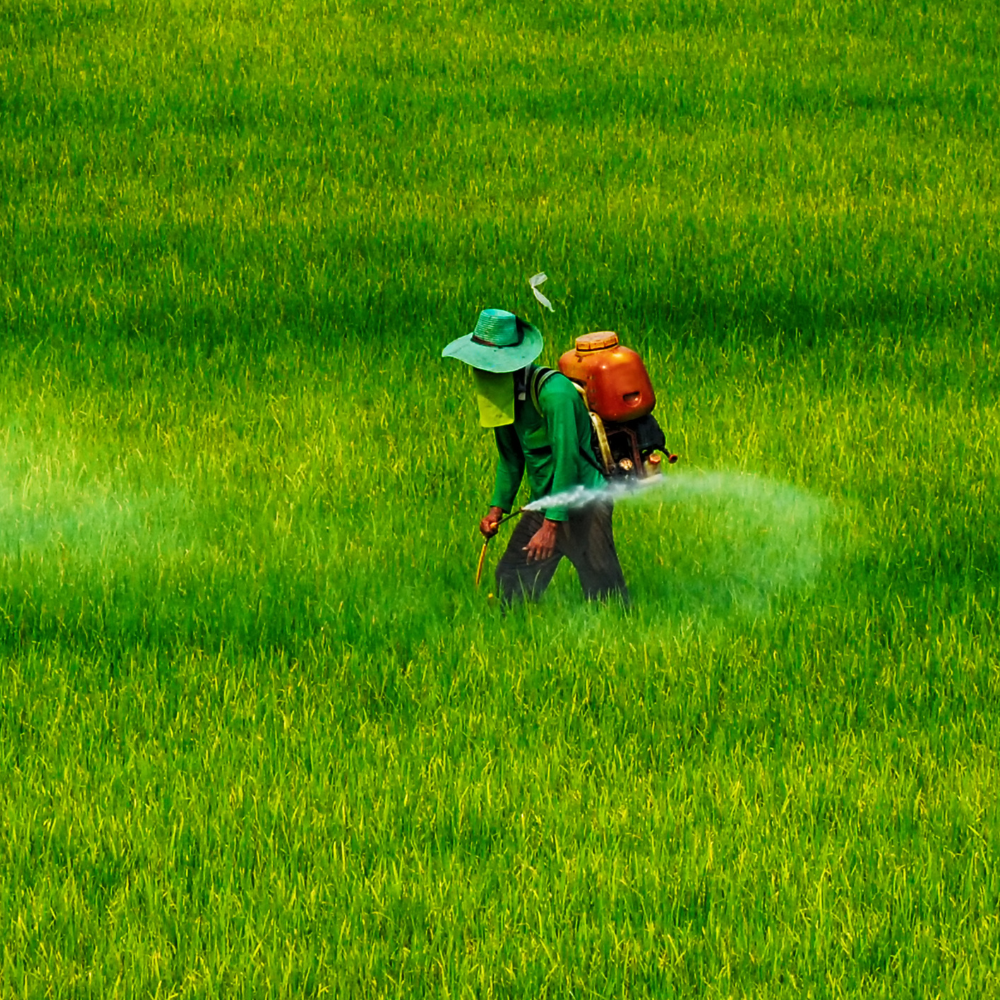 what are pesticides