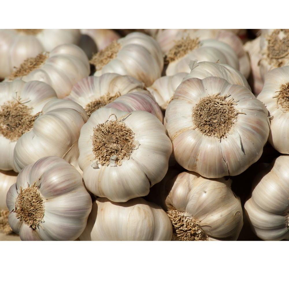 benefits of eating raw garlic