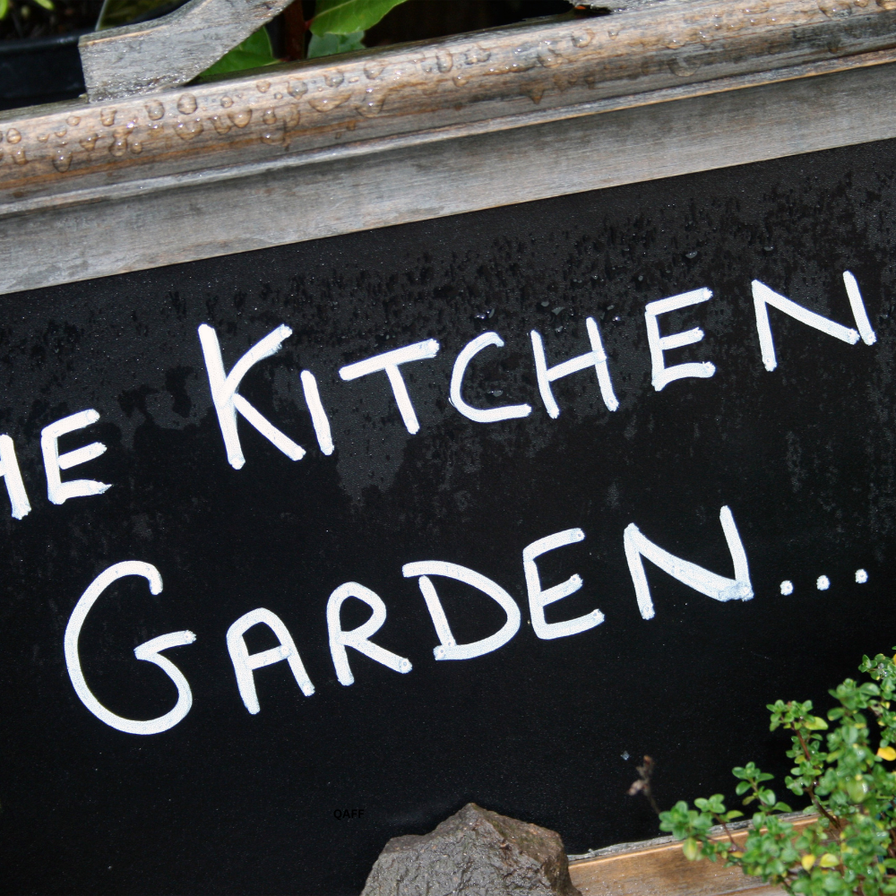 Kitchen garden benefits