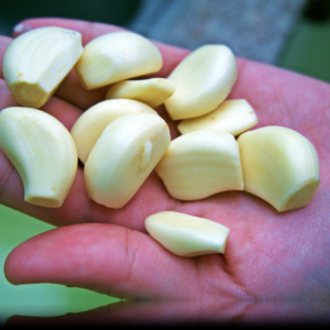 how to peel garlic cloves easily 